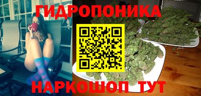 шишки Балашиха