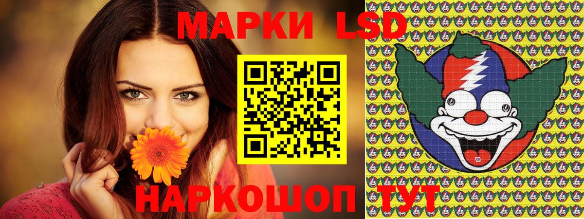 Псилоцибиновые грибы Березники