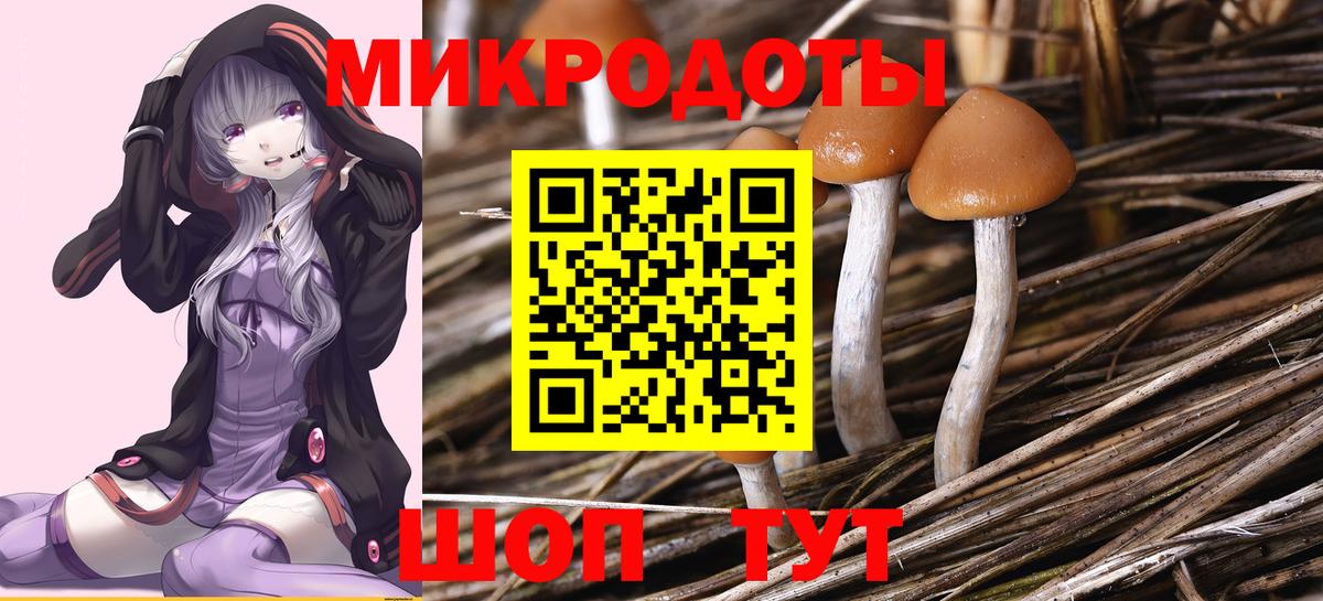 Галлюциногенные грибы Psilocybine cubensis Березники