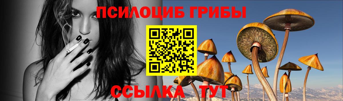 Галлюциногенные грибы ЛСД  Псилоцибиновые грибы прущие грибы  наркошоп  Вход с VPN  Березники 