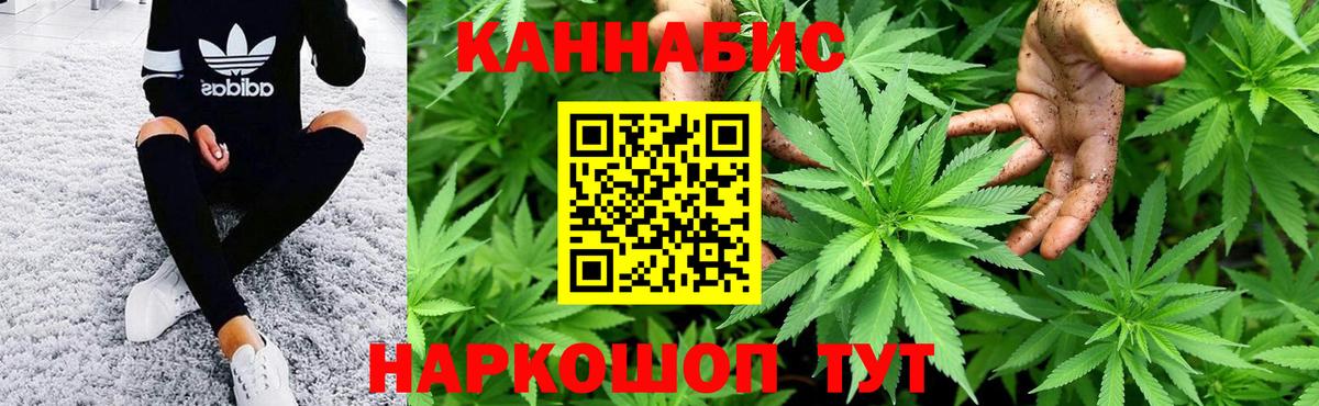 Бошки марихуана гибрид  Конопля семена  Березники  Вход с VPN 